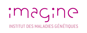 Institut Imagine