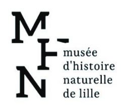 Musée d&rsquo;Histoire Naturelle de Lille