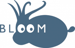 Bloom