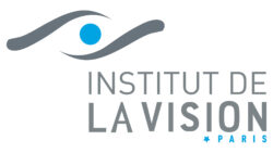 Institut de la vision