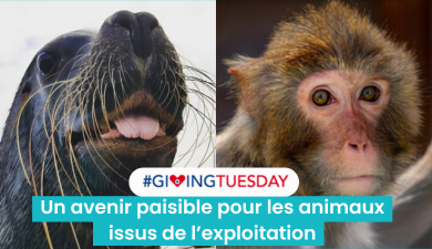 Visuel fonds de dotation La Tanière