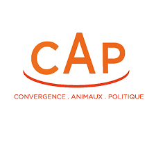 Convergence Animaux Politique