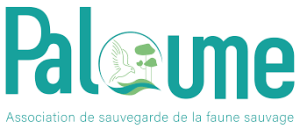 Paloume
