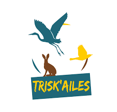 Trisk&rsquo;ailes