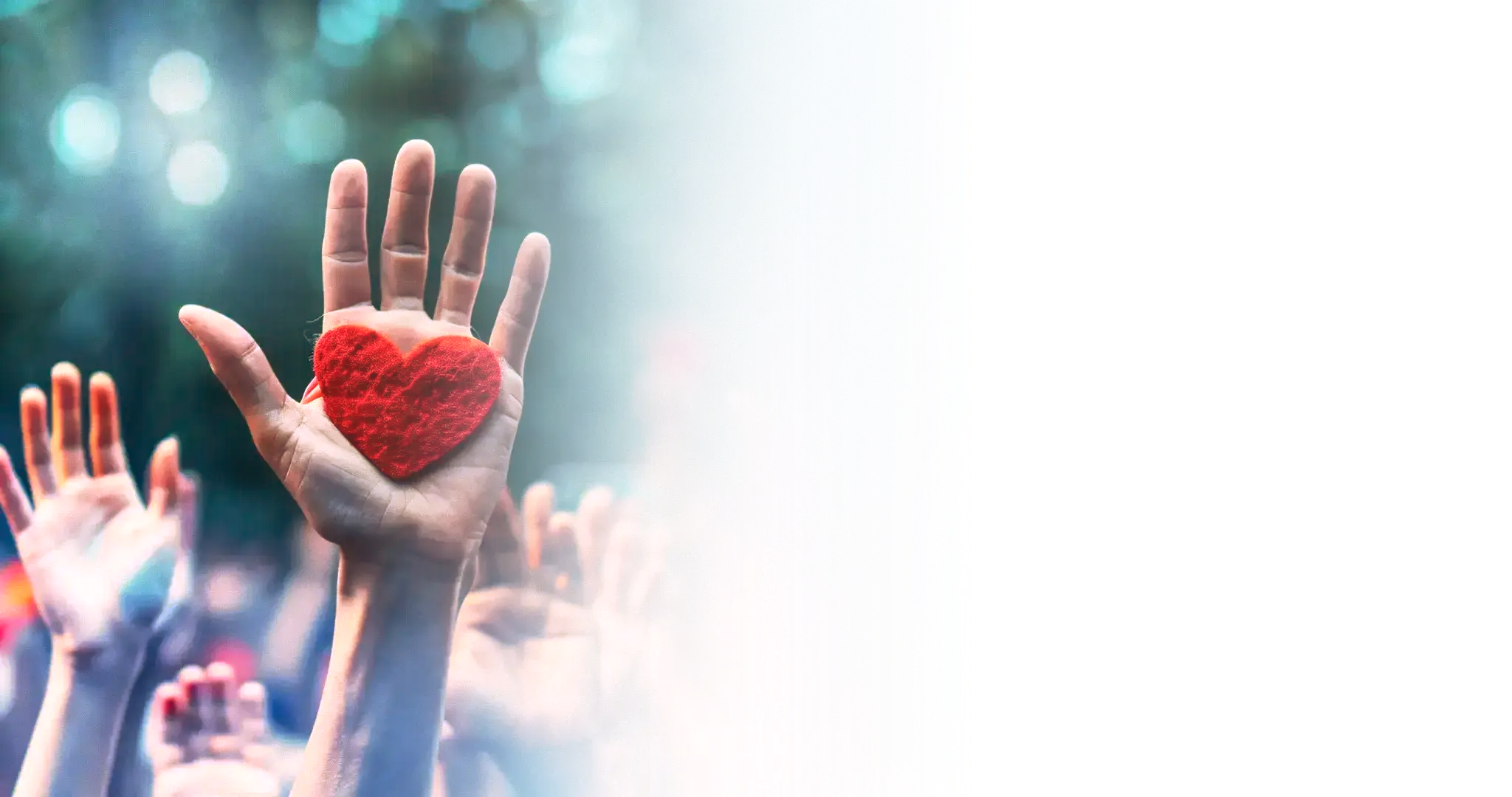 Giving Tuesday