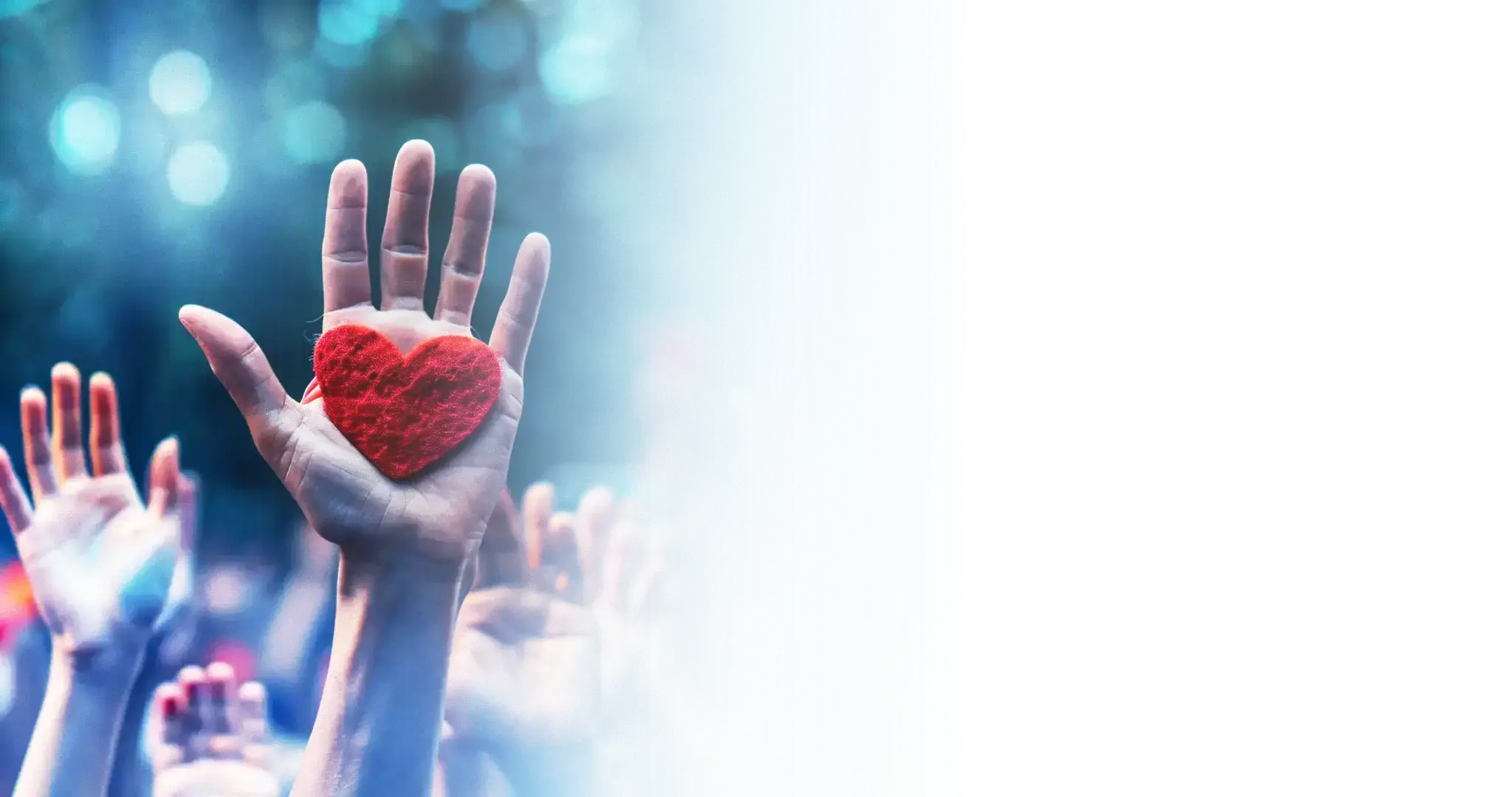 Giving Tuesday